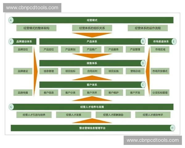 体育跨境营销策略创新与全球市场拓展路径分析